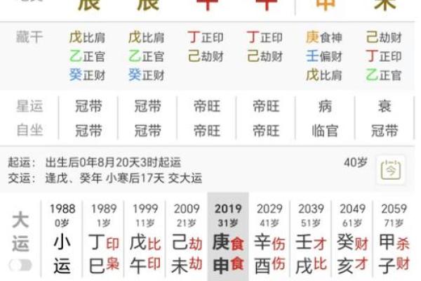 探秘命理学：身旺的真正含义与影响解析