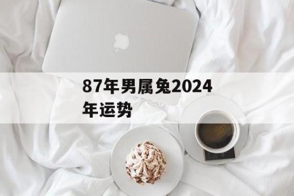 男属兔：1963年出生的命与运势解析