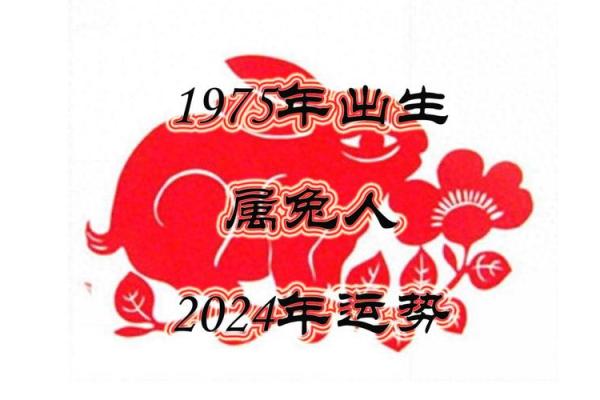 男属兔：1963年出生的命与运势解析