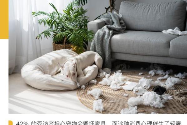 土命人家居养宠物的最佳选择与建议