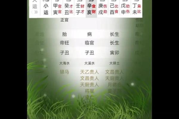 辛卯之命：命理分析与生活指南