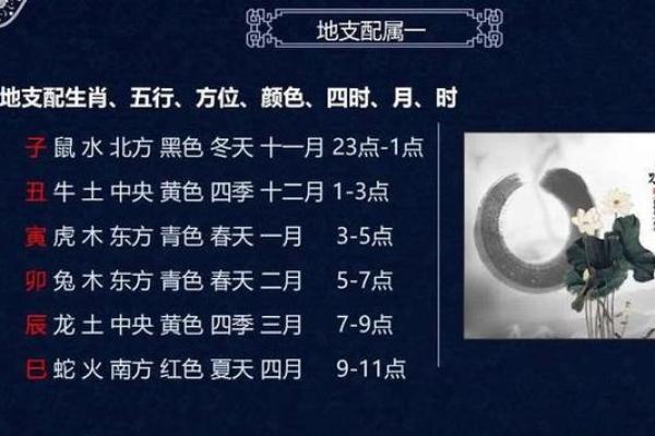 1981年属鸡命格解析：看属鸡人的五行特征与人生运势
