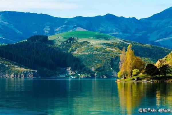 探索日元属猪的命运：性格、特征与人生之路