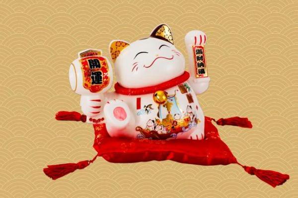 从猫的命理看，哪些猫咪最吉祥最有福气？