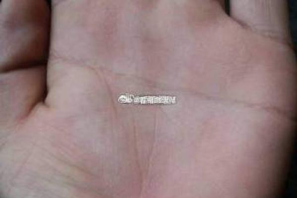 手掌断掌的命格解析：揭示你生命中的秘密与潜能