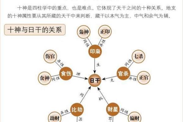 天干地支与命运的奥秘探究：解读你的命格与个性
