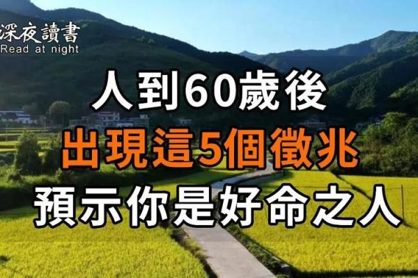 好人总是命短：这是命运的安排还是生活的无奈？
