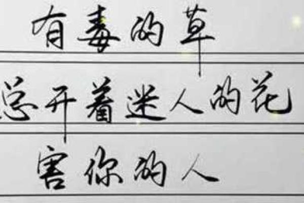 好人总是命短：这是命运的安排还是生活的无奈？