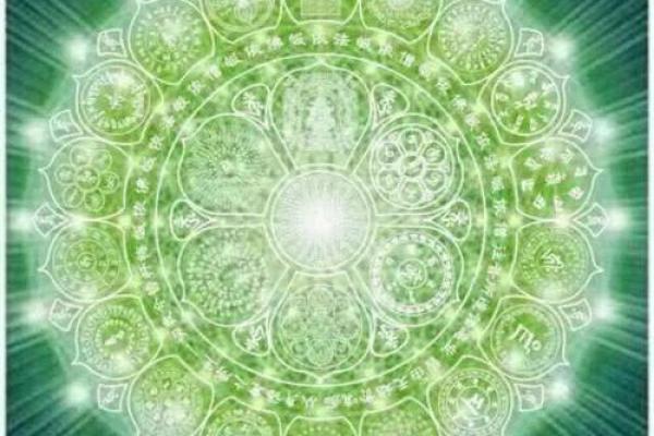 水命猪的色彩秘境：如何选择适合的颜色提升运势与气场