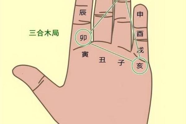 深度解析：木命人士适合佩戴的串具与风水之道