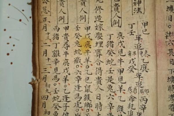 正月十三出生的人：命运与性格的深度剖析
