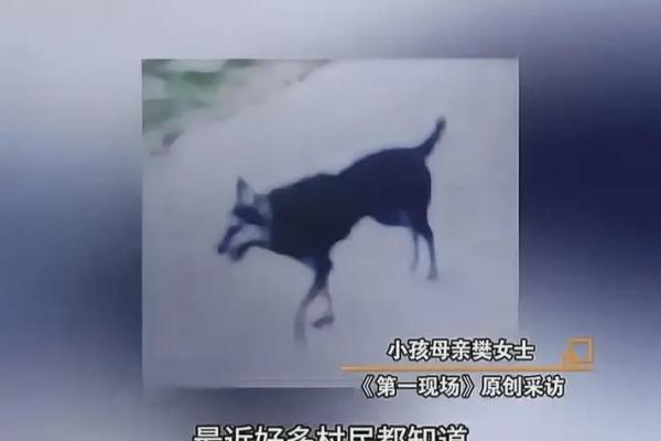 为什么要了孩子的命：一场悲剧的深思与启示