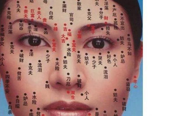 探索面相学：如何通过面相解析男命的特征与命运