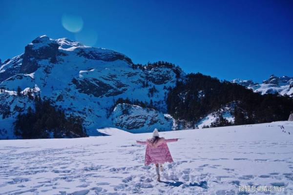 1995年12月出生的人，命运之轮的神秘旅程