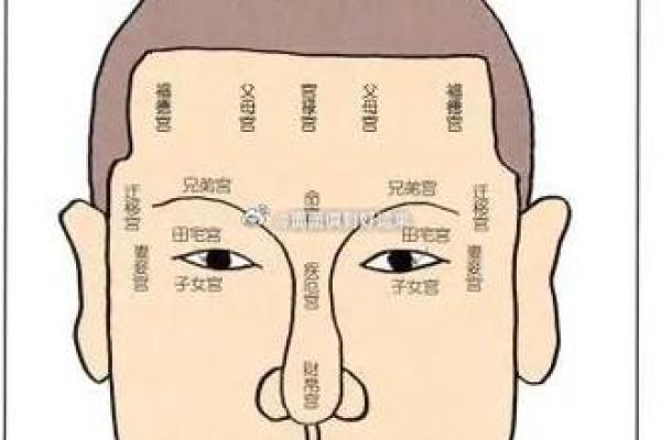 探索面相学：如何通过面相解析男命的特征与命运