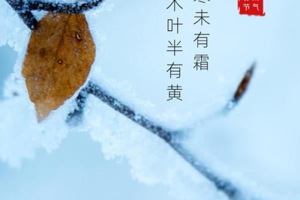 2020年立冬：传统习俗与养生智慧的完美结合