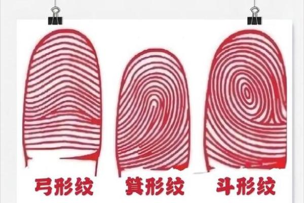 根据手上有几个斗解析命运：解锁命运的神秘之钥