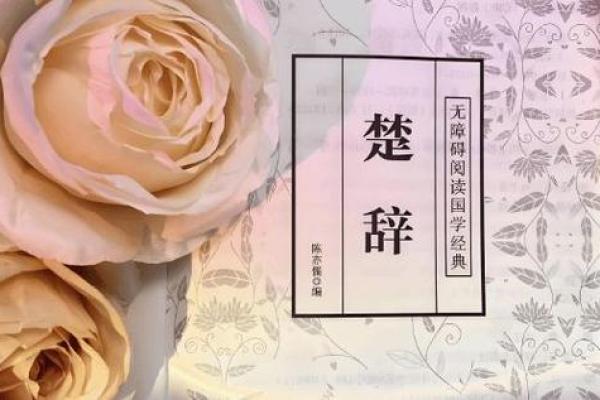 金钗命的色彩选择：揭开命理与色彩的神秘面纱