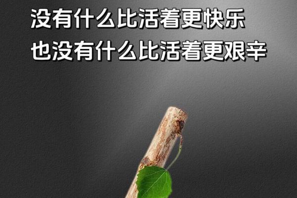 1997年属狗人的命运与性格解析：揭示成功与幸福的秘密