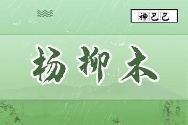 杨柳木命的转世之路：灵魂的重生与智慧的传承