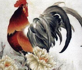 1969土命的人生缺失与弥补之道探讨