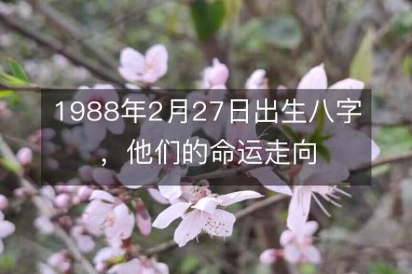 2005年1月27日出生的人命运分析与性格特征