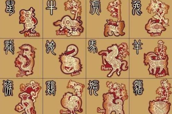 1962年属鼠人的命运与性格解析：你不可不知的秘密