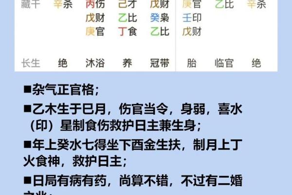 掌纹很浅的命女：她们的独特人生旅程与智慧