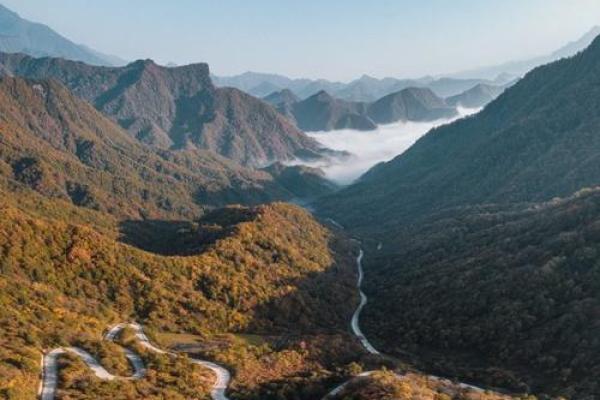 路旁土平地木命的探究与生活智慧