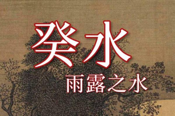 揭秘癸水命：适合你的行业与职业选择！