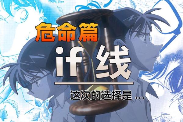 探寻易经中的燕子命：命运与选择的智慧之光