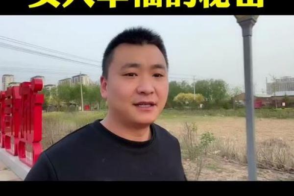 从命理角度探究妻子的象征与特征，揭示幸福婚姻的秘密！