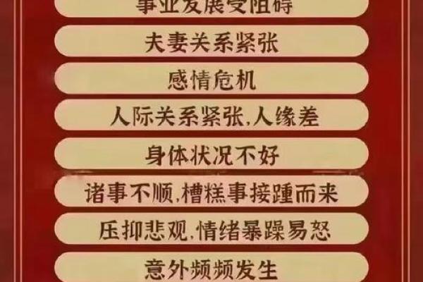 2023年猪年运势解析：命理与生活的深度结合