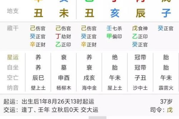 揭秘：哪些时辰出生的人命运最为坎坷？