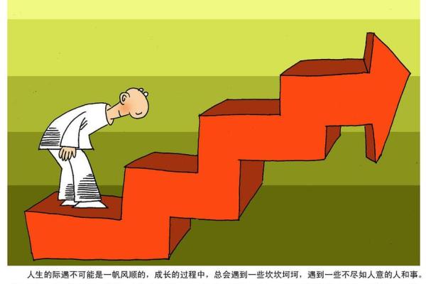 66岁属鸡的人生命运解析：智慧与挑战并存的旅程