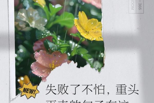 生肖马的命里之物：助你成就辉煌人生的秘密武器！