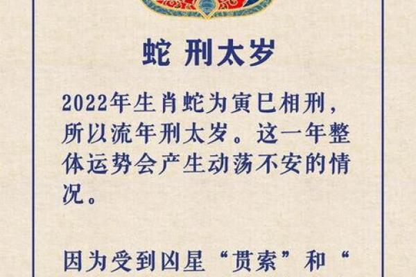 属狗之人为何命犯太岁：揭秘命理背后的深意与应对之法
