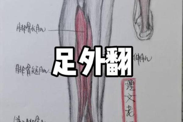 脚外翻命运分析：探索脚外翻与人生发展的深刻关系