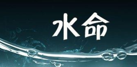 水命者的职业选择：适合哪些工作与发展方向？