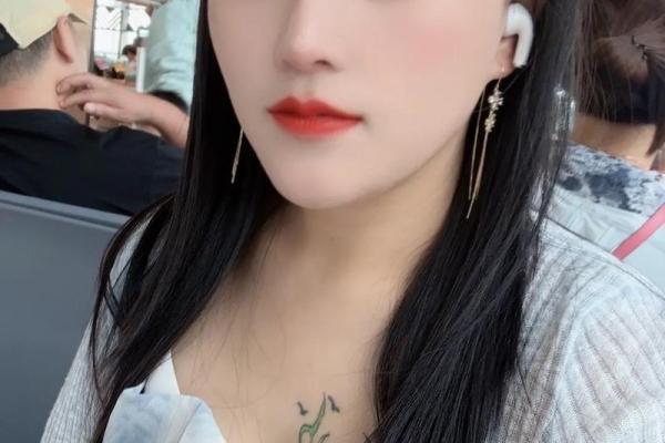 自恃清高之人：命运的选择与人生的旅程