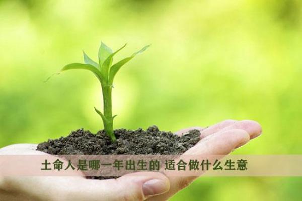 2019年出生孩子的土命解析与培育建议