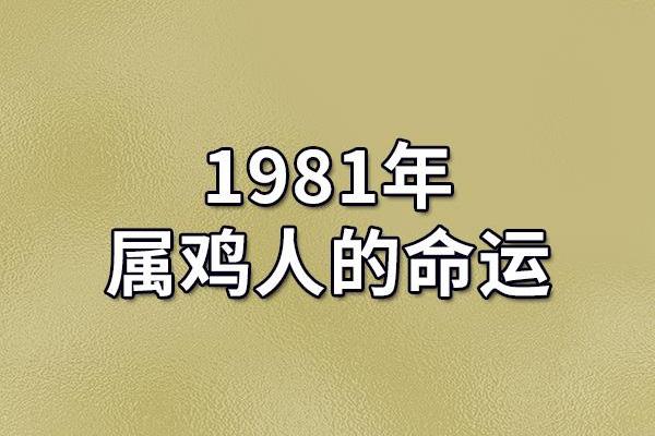 一九九七五属什么命女孩的命运与性格分析