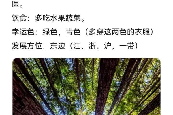 属鸡人的命理与木命：如何选择适合的木饰品