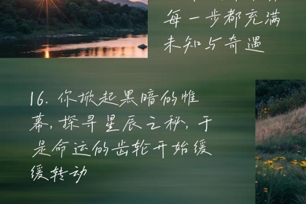 2004年11月：揭示命运的星辰与人生的旅程