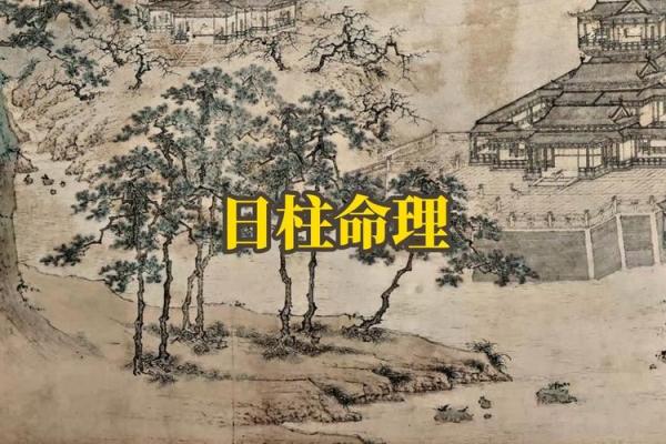 未时出生男孩的命理解析：揭示命运奥秘与人生轨迹