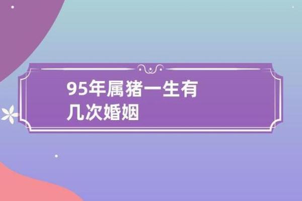2004年属猪人的命运与特点解析：幸福与挑战并存的生活之旅