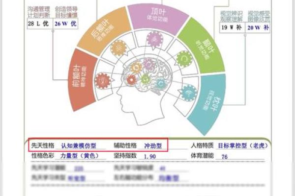 天炉火命：性格解析与命理搭配之道