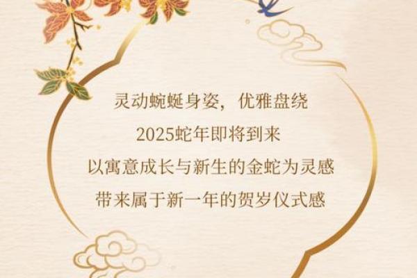 阳木命者的佩戴指南：了解适合的饰品与象征意义