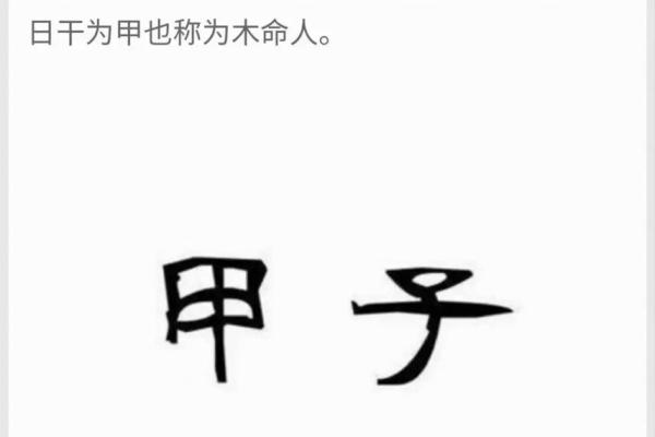 海中金命适合生哪些宝宝？解密最佳孕育选择！