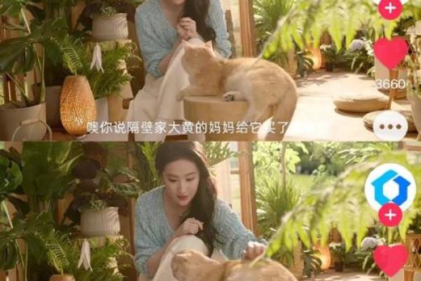 童子命人最爱的动物：你知道他们的宠物心声吗？